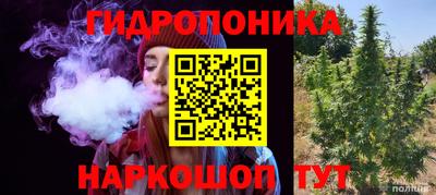 не бодяженный Гай