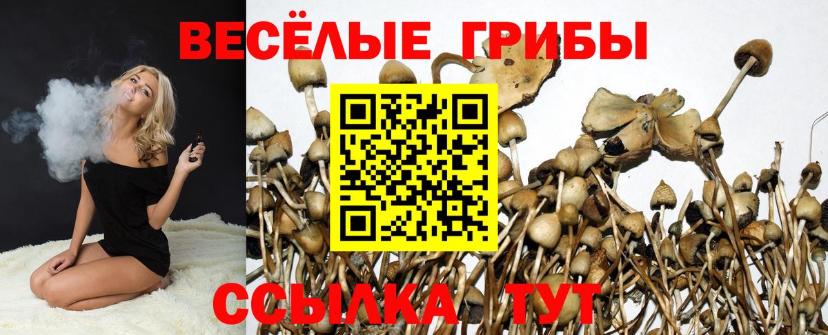 Галлюциногенные грибы Psilocybe  где купить   Белогорск  Псилоцибиновые грибы Psilocybine cubensis  Вход с VPN 